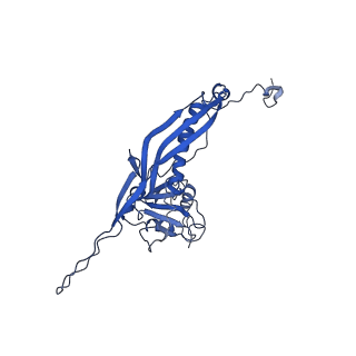 10443_6tba_PE_v1-2
Virion of native gene transfer agent (GTA) particle