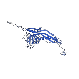 10443_6tba_PJ_v1-2
Virion of native gene transfer agent (GTA) particle