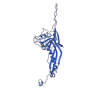 10443_6tba_PO_v1-2
Virion of native gene transfer agent (GTA) particle