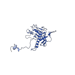 10443_6tba_Q4_v1-2
Virion of native gene transfer agent (GTA) particle