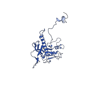 10443_6tba_QE_v1-2
Virion of native gene transfer agent (GTA) particle