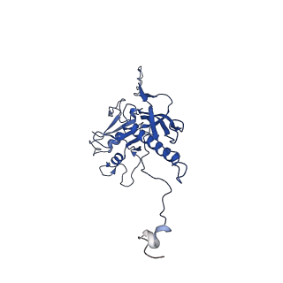 10443_6tba_QO_v1-2
Virion of native gene transfer agent (GTA) particle