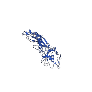 10443_6tba_RJ_v1-2
Virion of native gene transfer agent (GTA) particle