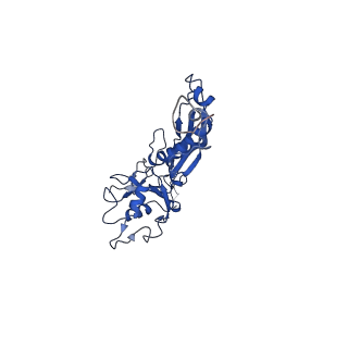 10443_6tba_RO_v1-2
Virion of native gene transfer agent (GTA) particle