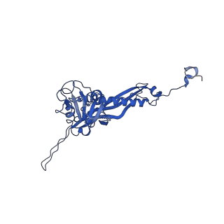 10443_6tba_S4_v1-2
Virion of native gene transfer agent (GTA) particle
