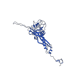 10443_6tba_S9_v1-2
Virion of native gene transfer agent (GTA) particle