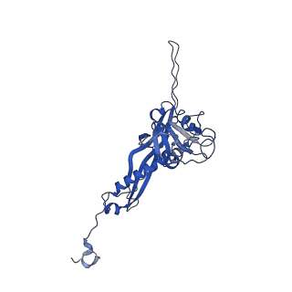10443_6tba_SE_v1-2
Virion of native gene transfer agent (GTA) particle
