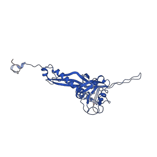 10443_6tba_SJ_v1-2
Virion of native gene transfer agent (GTA) particle