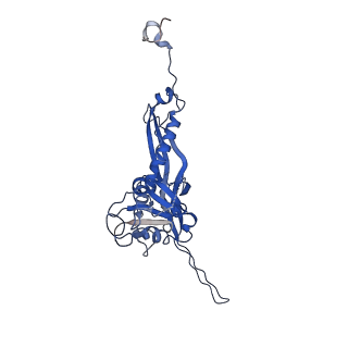 10443_6tba_SO_v1-2
Virion of native gene transfer agent (GTA) particle