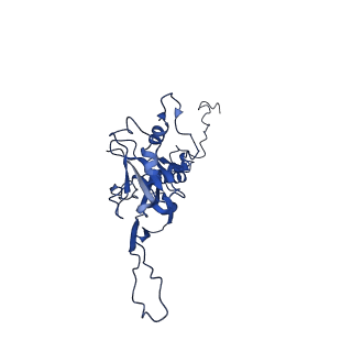 10443_6tba_T4_v1-2
Virion of native gene transfer agent (GTA) particle