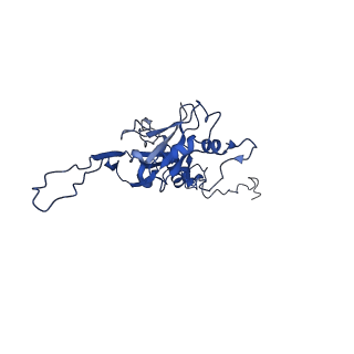 10443_6tba_T9_v1-2
Virion of native gene transfer agent (GTA) particle