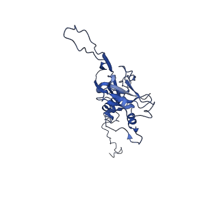10443_6tba_TE_v1-2
Virion of native gene transfer agent (GTA) particle