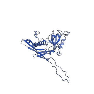 10443_6tba_U9_v1-2
Virion of native gene transfer agent (GTA) particle