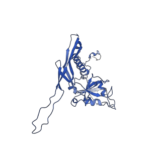 10443_6tba_UE_v1-2
Virion of native gene transfer agent (GTA) particle