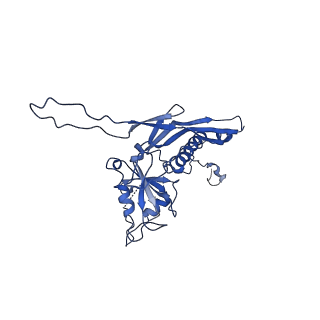 10443_6tba_UJ_v1-2
Virion of native gene transfer agent (GTA) particle