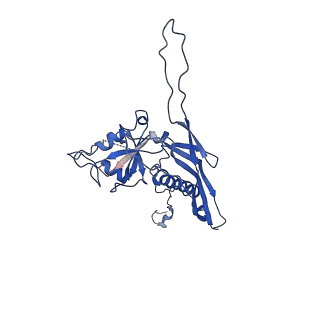 10443_6tba_UO_v1-2
Virion of native gene transfer agent (GTA) particle