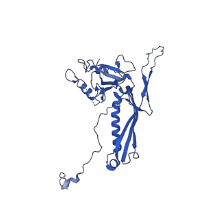 10443_6tba_V4_v1-2
Virion of native gene transfer agent (GTA) particle