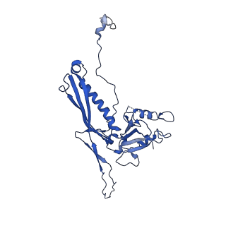 10443_6tba_VE_v1-2
Virion of native gene transfer agent (GTA) particle