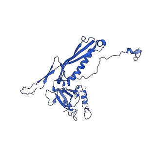 10443_6tba_VJ_v1-2
Virion of native gene transfer agent (GTA) particle