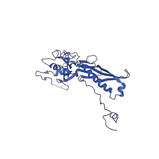 10443_6tba_W4_v1-2
Virion of native gene transfer agent (GTA) particle