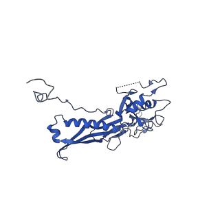 10443_6tba_WE_v1-2
Virion of native gene transfer agent (GTA) particle