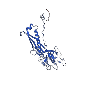 10443_6tba_WJ_v1-2
Virion of native gene transfer agent (GTA) particle