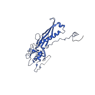 10443_6tba_WO_v1-2
Virion of native gene transfer agent (GTA) particle