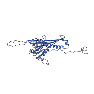 10443_6tba_X4_v1-2
Virion of native gene transfer agent (GTA) particle