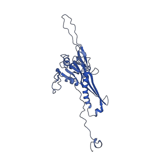 10443_6tba_X9_v1-2
Virion of native gene transfer agent (GTA) particle