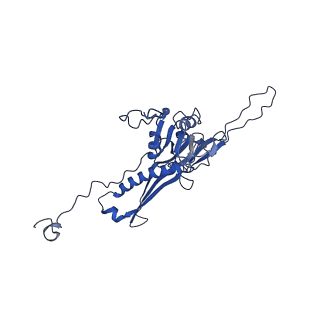 10443_6tba_XE_v1-2
Virion of native gene transfer agent (GTA) particle