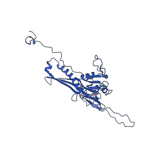 10443_6tba_XJ_v1-2
Virion of native gene transfer agent (GTA) particle