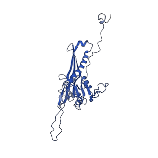 10443_6tba_XO_v1-2
Virion of native gene transfer agent (GTA) particle