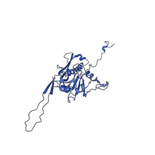 10443_6tba_Y4_v1-2
Virion of native gene transfer agent (GTA) particle
