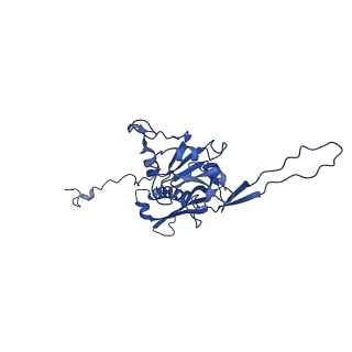 10443_6tba_YJ_v1-2
Virion of native gene transfer agent (GTA) particle