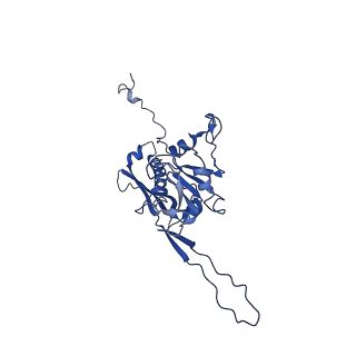 10443_6tba_YO_v1-2
Virion of native gene transfer agent (GTA) particle
