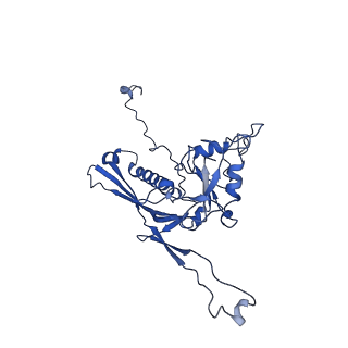 10443_6tba_Z4_v1-2
Virion of native gene transfer agent (GTA) particle
