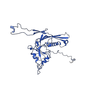 10443_6tba_ZE_v1-2
Virion of native gene transfer agent (GTA) particle