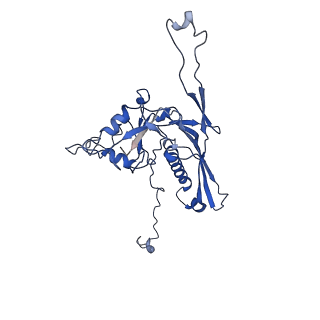 10443_6tba_ZJ_v1-2
Virion of native gene transfer agent (GTA) particle