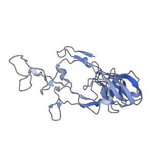 10453_6tbv_L021_v1-2
Cryo-EM structure of an Escherichia coli ribosome-SpeFL complex stalled in response to L-ornithine (Replicate 2)