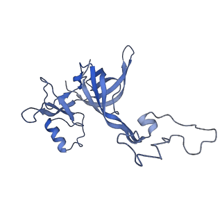 10453_6tbv_L031_v1-2
Cryo-EM structure of an Escherichia coli ribosome-SpeFL complex stalled in response to L-ornithine (Replicate 2)