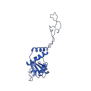 10453_6tbv_L041_v1-2
Cryo-EM structure of an Escherichia coli ribosome-SpeFL complex stalled in response to L-ornithine (Replicate 2)