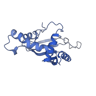 10453_6tbv_L051_v1-2
Cryo-EM structure of an Escherichia coli ribosome-SpeFL complex stalled in response to L-ornithine (Replicate 2)