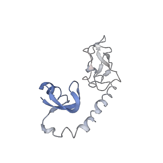 10453_6tbv_L091_v1-2
Cryo-EM structure of an Escherichia coli ribosome-SpeFL complex stalled in response to L-ornithine (Replicate 2)