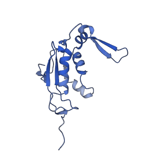 10453_6tbv_L131_v1-2
Cryo-EM structure of an Escherichia coli ribosome-SpeFL complex stalled in response to L-ornithine (Replicate 2)
