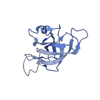 10453_6tbv_L141_v1-2
Cryo-EM structure of an Escherichia coli ribosome-SpeFL complex stalled in response to L-ornithine (Replicate 2)