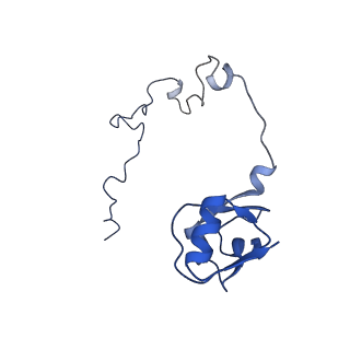 10453_6tbv_L151_v1-2
Cryo-EM structure of an Escherichia coli ribosome-SpeFL complex stalled in response to L-ornithine (Replicate 2)