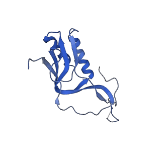 10453_6tbv_L161_v1-2
Cryo-EM structure of an Escherichia coli ribosome-SpeFL complex stalled in response to L-ornithine (Replicate 2)