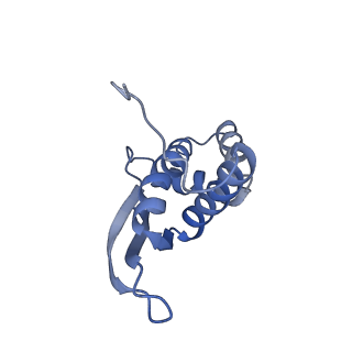 10453_6tbv_L171_v1-2
Cryo-EM structure of an Escherichia coli ribosome-SpeFL complex stalled in response to L-ornithine (Replicate 2)