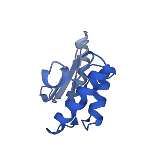 10453_6tbv_L181_v1-2
Cryo-EM structure of an Escherichia coli ribosome-SpeFL complex stalled in response to L-ornithine (Replicate 2)