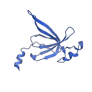 10453_6tbv_L191_v1-2
Cryo-EM structure of an Escherichia coli ribosome-SpeFL complex stalled in response to L-ornithine (Replicate 2)